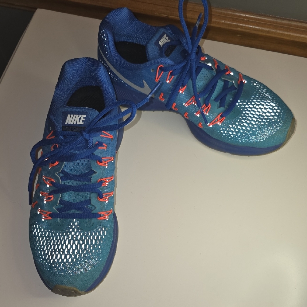 Nike Blue Sneakers with Red Accents